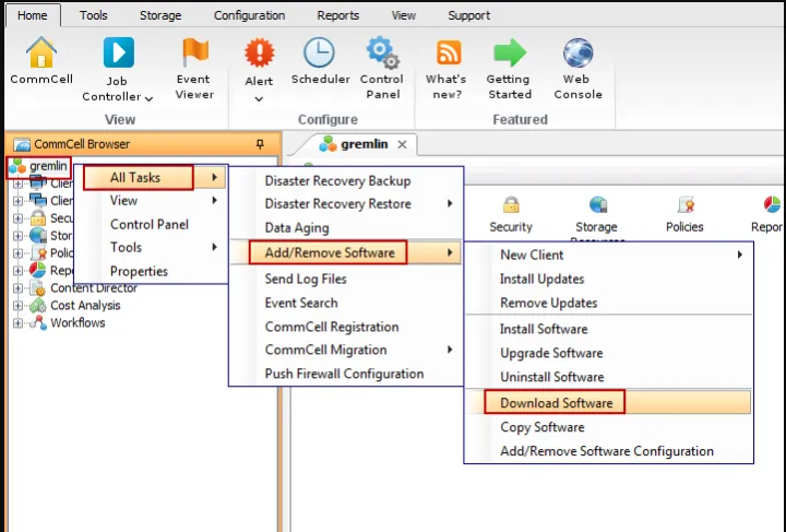 Captura InterSystems Caché