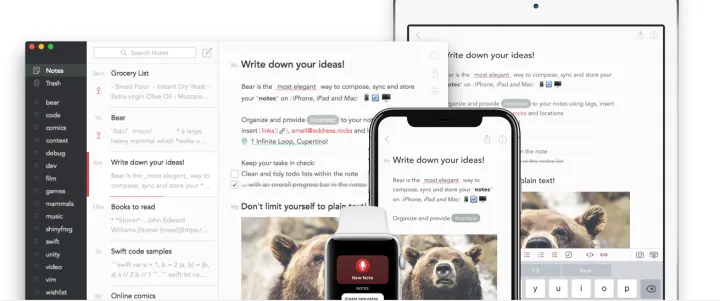 Captura Bear Toma de Notas