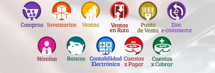 Captura Mayaccess Microsip