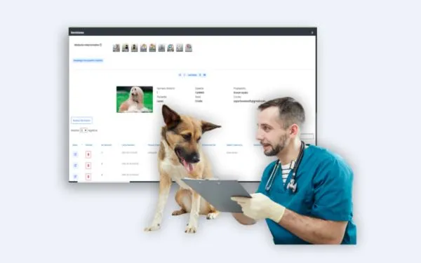 VeteSoft