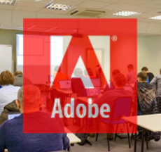 Adobe Captivate LCMS Colombia