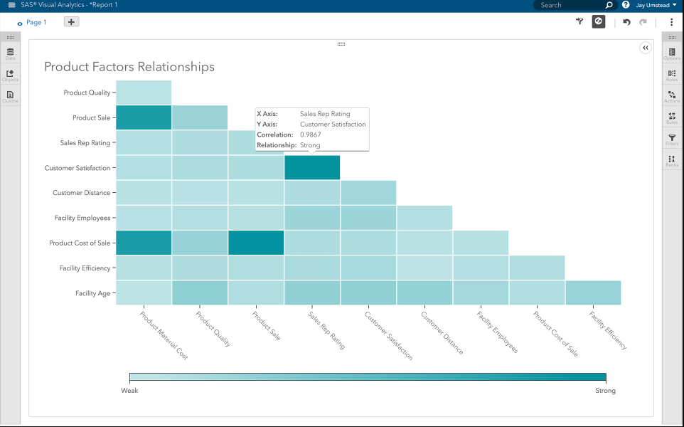 SAS Business Intelligence