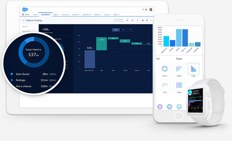 Salesforce Analytics Cloud