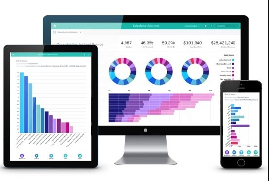 Salesforce Analytics Cloud