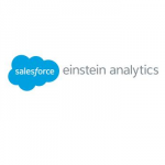 Salesforce Analytics Cloud 1