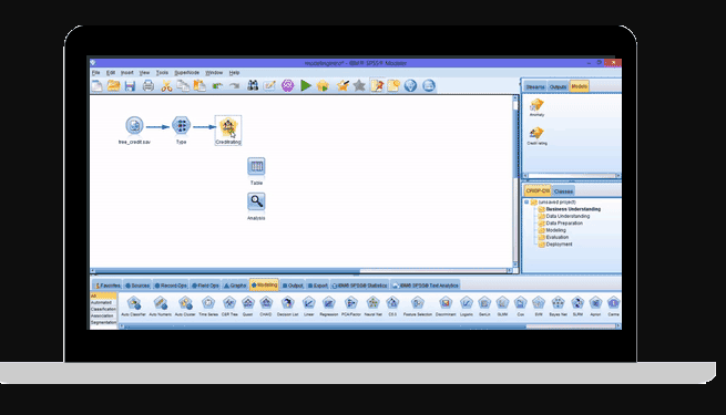 IBM SPSS