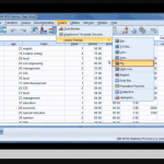 IBM SPSS 3