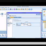 IBM SPSS 4